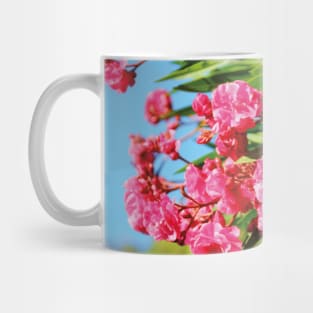 Palermo Santa Rosalia Rose Mug